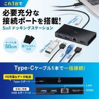 サンワサプライ  USB Type-Cドッキングステーション USB-DKM10BK（直送品）
