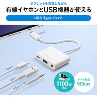 サンワサプライ  イヤフォンジャック付きType-Cハブ USB-5TCPA23W（直送品）
