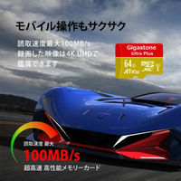 GIGASTONE microSDXCカード UHSー1 A1 V30 64GB 2枚入り GJMXR-64GV3A1100R-2PK 1セット