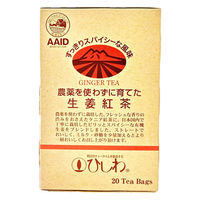 農薬を使わずに育てた生姜紅茶ティーバッグ 1セット（1箱（20バッグ入）×3）