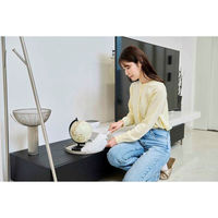 セーレン商事 ハンディモップ そうじの神様 極細毛 洗えるおそうじモップ 448582 1個（直送品）