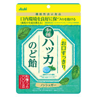 のど飴 ノンシュガー キャンディー お口すっきり 和種 ハッカのど飴 67g 1セット（1個×6） アサヒグループ食品
