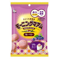 クッキー 食べきりサイズ モーニングマアム ブルーベリー 50g 1セット(1個×12) 不二家