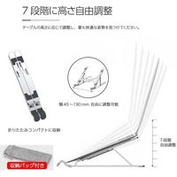 浅沼商会 折りたたみ式ラップトップスタンド KLSーS 1個