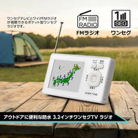 ダイアモンドヘッド 防水3.2インチワンセグTVラジオ OT-1WPT30TE 1台（直送品）