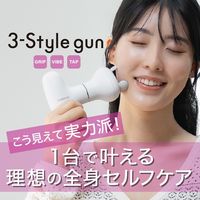 大東電機工業 スライヴ スリースタイルガン ホワイト BMー01(WH) 1台