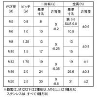 SUNCO SUSセルフロッキングN CAP付 M10 (1本入り) N0-02-070C-0100-0000-00-1P 1パック(1個)（直送品）