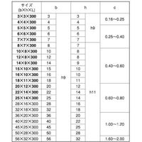 SUNCO SUS 新JIS 平行キー 5X5X300 (1本入) D0-02-K004-0050-0050-00 1箱(1本)（直送品）