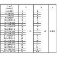 SUNCO SUS 旧JIS 平行キー 28X18X300 (1本入) D0-02-K005-0280-0180-00 1箱(1本)（直送品）