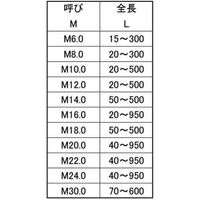 サンコーインダストリー SUNCO SNB7 寸切(平先) 24X145 (1本入) C12405100240145000 1本（直送品）