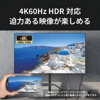 ラトックシステム RATOC USB TypeーC to HDMI 変換ケーブル(PD対応・2m) RS-UCHD4K60-2M 1個（直送品）