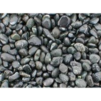 いよせき インドネシア 新那智石 20~30mm 1袋【20kg】 70222 1袋(20kg)（直送品）