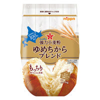 ニップン 強力小麦粉 ゆめちからブレンド 北海道産小麦100％使用 チャック付き 1kg 1セット（1個×3）