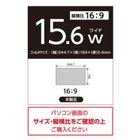 ナカバヤシ PC用のぞき見防止フィルタ 15.6W(16:9)用 SF-NFLGPV156W 1枚