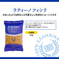 ラティーノ フィシリ 袋 250g ゆで時間8分 1個 富永貿易 パスタ ギリシャ