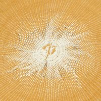 ペーパーランチョンマットサークル イエロー LAKOLE/ラコレ