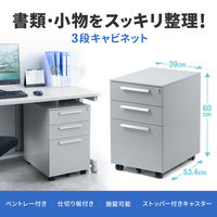 サンワサプライ キャビネット 幅390×奥行534×高さ600mm グレー SNW-106GY 1台（直送品）