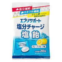 塩分補給 塩分対策 個包装 エブリサポート 塩分チャージ塩飴 20粒入 80g  1セット(1個×6) 日本薬剤