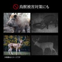 サンワサプライ セキュリティカメラ CMS-SC06BK 1台（わけあり品）