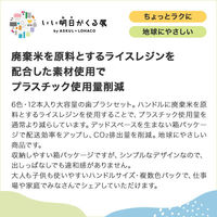 歯科医推奨 エコデント ライスレジン歯ブラシ ふつう 大人・子供向け 6色アソート 1セット（12本入）ラピス 限定（わけあり品）