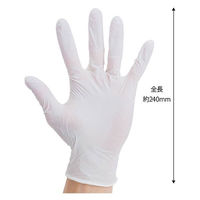 フィフティ・ヴィジョナリー ニトリルグローブ(ホワイト)Lサイズ FV-NG-001-L 1箱(100枚)（わけあり品）