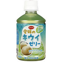 【アウトレット】POM 愛媛のキウイゼリー 295g　11セット（6本） えひめ飲料