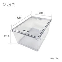 小久保工業所 野菜保存容器 すのこ付き 透明 L KKー648 1個