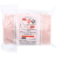 日繊商工 洗濯脱水するだけですぐ乾くタオル2 バスタオル約60×120cm LPK 1枚入 HB17005 1枚（直送品）