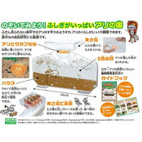 学研ステイフル ふしぎの国のアリのすハウス J750736 1個