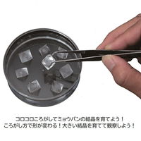 学研ステイフル キラキラふわふわ　結晶研究所 Q750790 1個