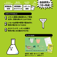 学研ステイフル 自由研究おたすけキット　レモン電池 J750859 1個