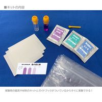 学研ステイフル 自由研究おたすけキット　二酸化炭素 Q750862 1個