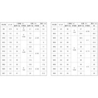 N0-10-0204-0100-0000-03-1P（直送品）