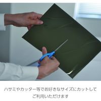 マグナ MAGNA マグナビュワーシート クラリス 10-8 1枚 594-5994（直送品）