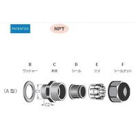 日本エイ・ヴィー・シー NPTネジケーブルグランド(A型) NPA21ー06G 1個入 1個（直送品）