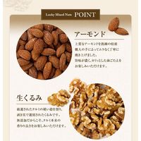 ミックスナッツ 大袋 ジッパー付き ラッキー ミックスナッツ  600g1個 味源