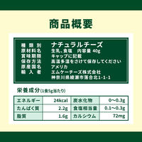 森永乳業 クラフト パルメザンチーズ40g 1個 粉チーズ 100% パルメザン ナチュラルチーズ 卓上