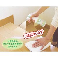 フィトンα つや出しクリーナー300ｍL 1本 タジマヤ