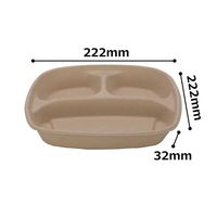 トーシン エコ バガス 業務用 仕切プレート クラフト 1セット（100枚：50枚入×2袋）