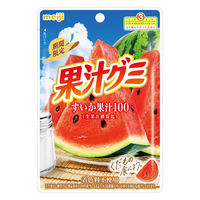 グミ 食べきりサイズ 果汁グミ すいか 1セット（1個×12）