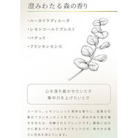 タカミツ アロマゴコチ 18枚入り ウッディ 6300069250 1袋(18枚)（直送品）