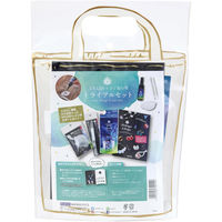 PADICO パジコ レジンセット 星の雫 トライアルセット 402010 PDC402010 1セット（直送品）