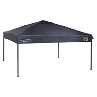 パール金属 CSブラックラベル クイックアップシェート ゙250UV UA-1094 1個（直送品）