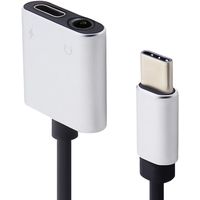 FSC イヤホン端子変換アダプターDAC TypeーC用PD対応充電機能付　＜シルバー＞  1個