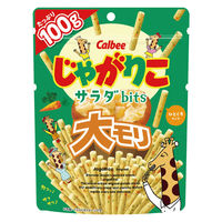 スナック菓子 食べきりサイズ じゃがりこサラダbits 大モリ  100g 1セット(1個×6) カルビー