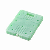 超速凍結・氷点下パックXLツイン 81660620 LOGOS/ロゴス