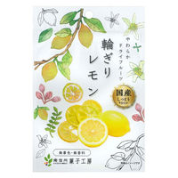 ドライフルーツ 食べきりサイズ 輪切りレモン 国産 1セット(1個×5) 南信州菓子工房