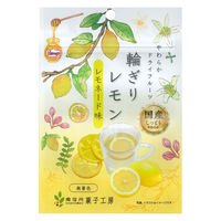 ドライフルーツ 食べきりサイズ 輪ぎりレモン レモネード味 1セット(1個×5) 南信州菓子工房