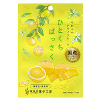 ドライフルーツ 食べきりサイズ ひとくちはっさく 1セット(1個×5) 南信州菓子工房