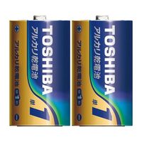 東芝 LR20L 100P 1個